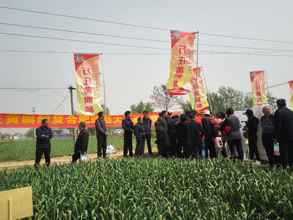培肥養地奪高產 不妨試試黃腐酸 ——午夜福利影视新肥科技有限公司河南睢縣大蒜觀摩會
